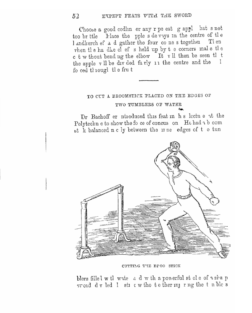 해리슨 1868 도판 — harrison_019_빗자루자르기