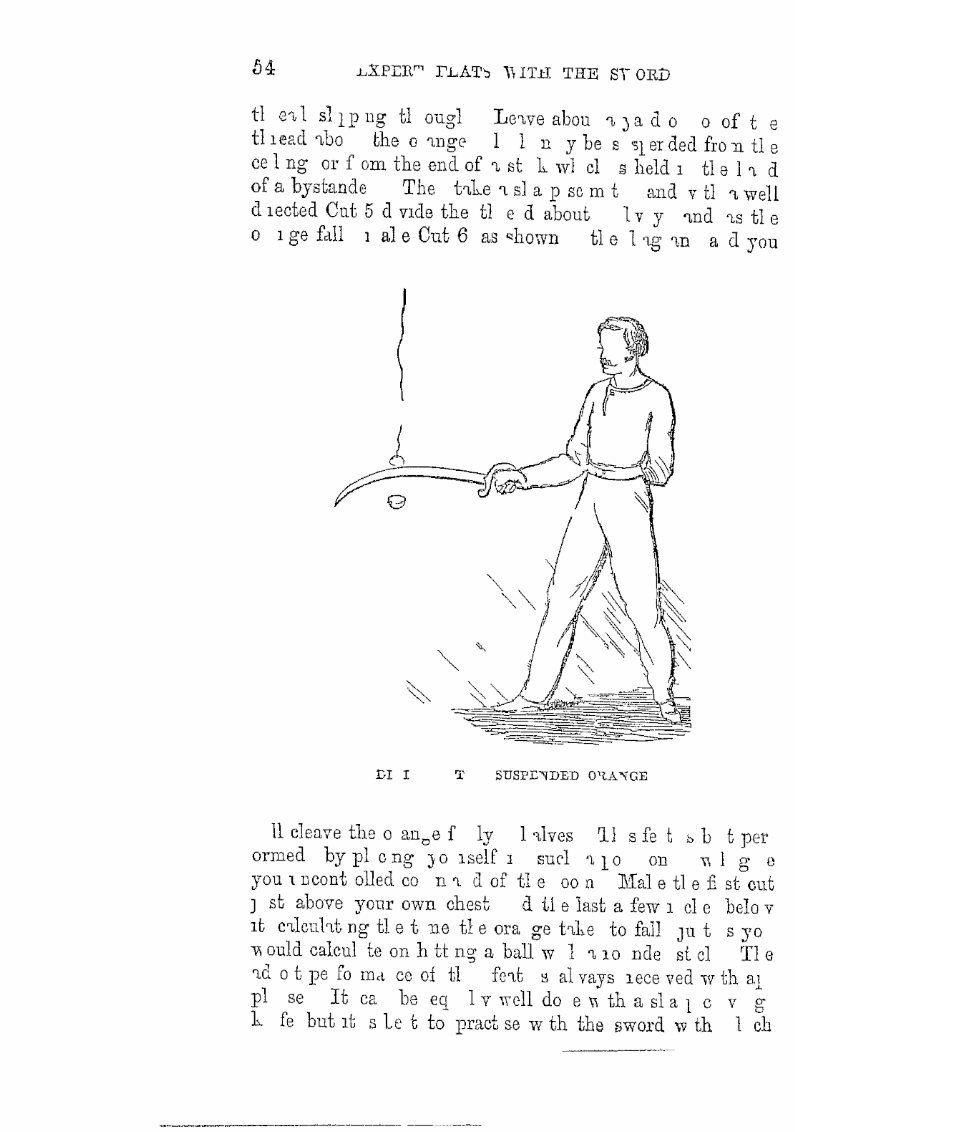 해리슨 1868 도판 — harrison_020_매달린오렌지가르기