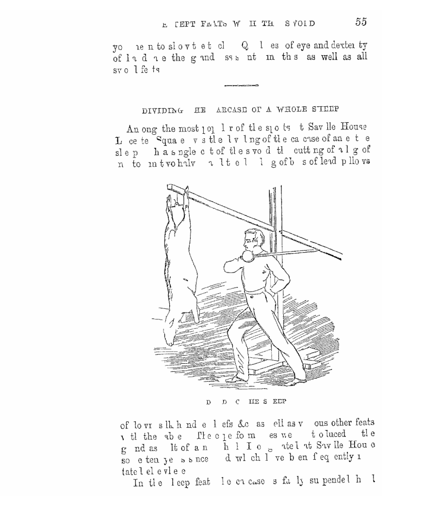 해리슨 1868 도판 — harrison_021_양몸통가르기