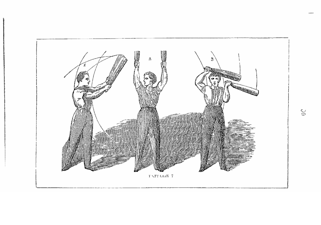 해리슨 1868 도판 — harrison_부록02_운동7