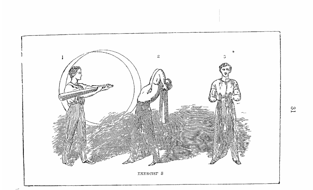 해리슨 1868 도판 — harrison_부록03_운동8