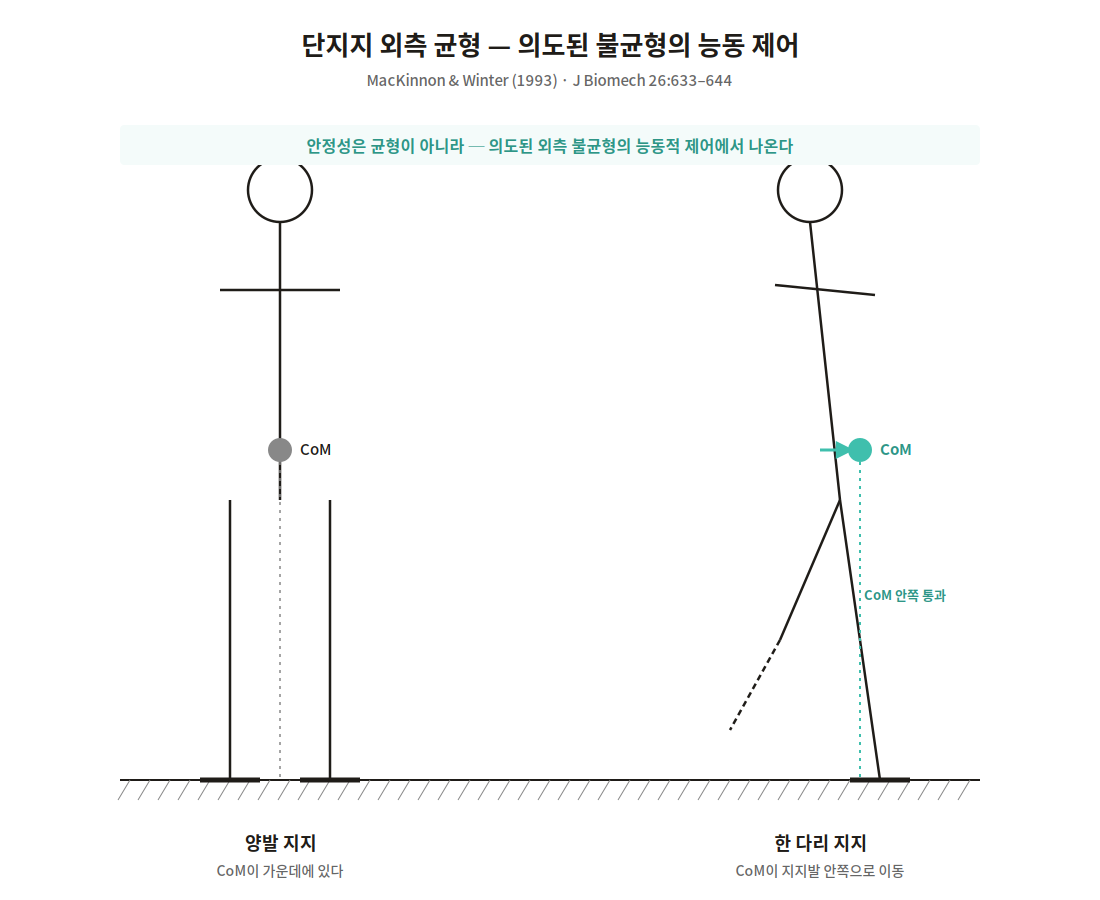 단지지 외측 균형 — MacKinnon & Winter 도해