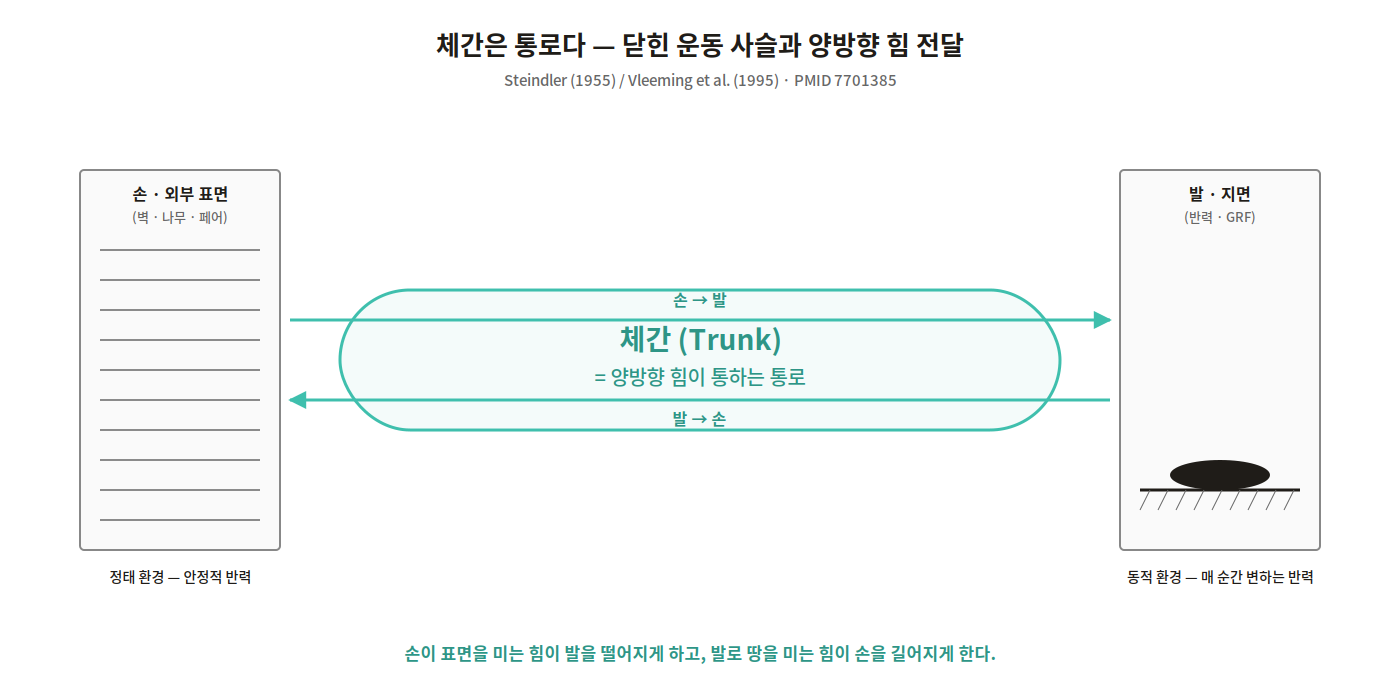 체간은 통로다 — 닫힌 운동 사슬 도해
