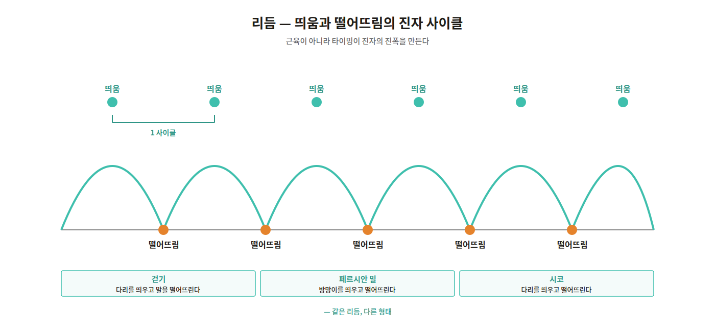 띄움과 떨어뜨림의 진자 사이클 도해